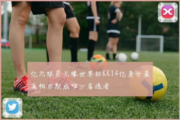 亿元球员无缘世界杯KK14亿身价最高帕尔默成唯一落选者