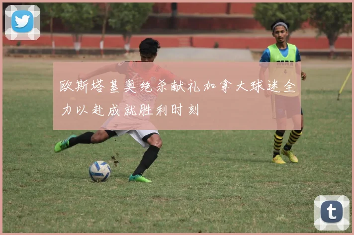 欧斯塔基奥绝杀献礼加拿大球迷全力以赴成就胜利时刻