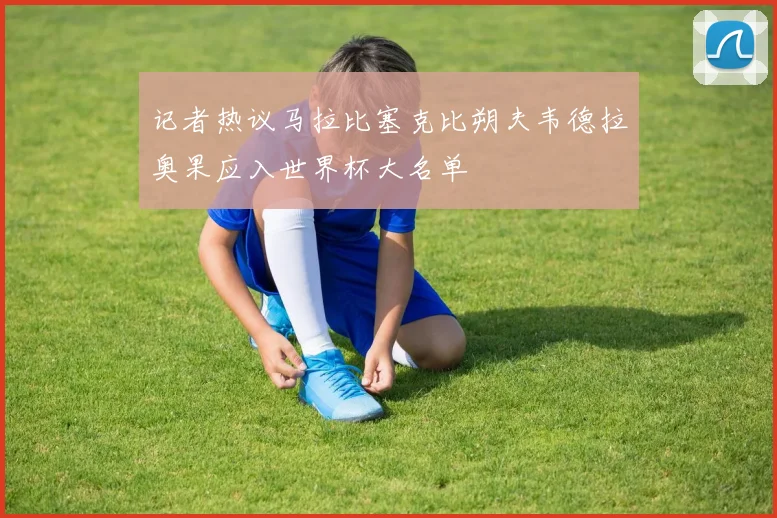 记者热议马拉比塞克比朔夫韦德拉奥果应入世界杯大名单